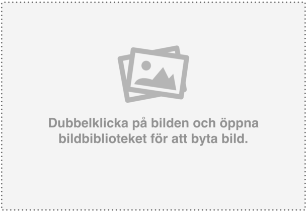 Exempelbild